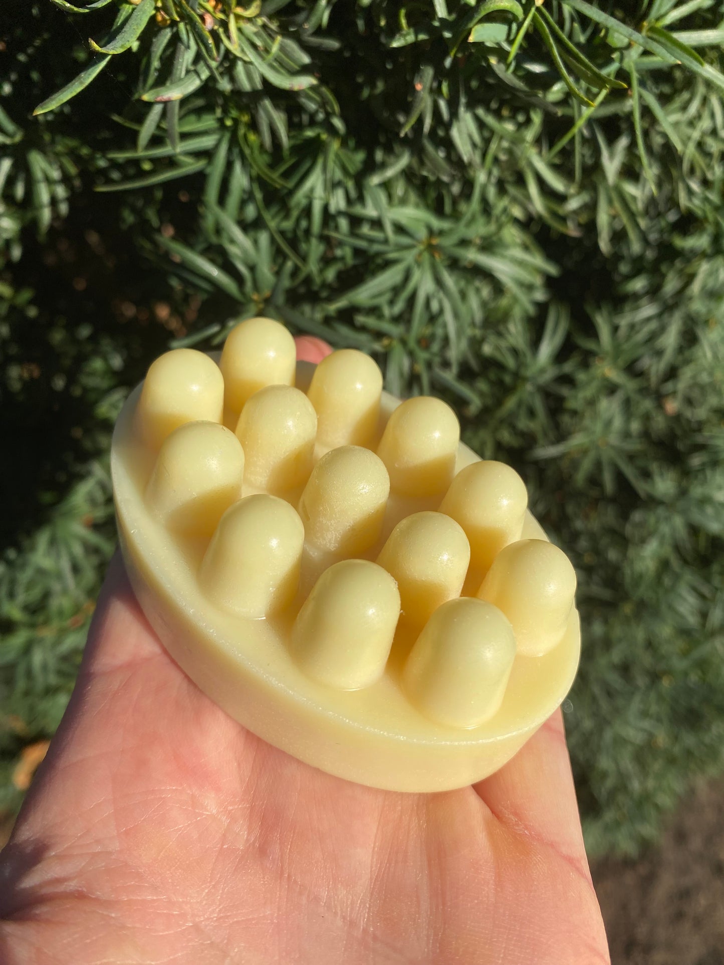 Lemon massaging shampoo Bar